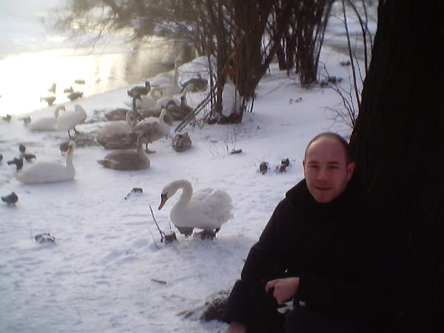 Hq15.jpg (44143 bytes)